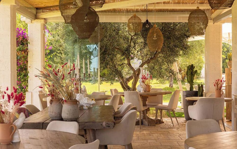 Restaurang Foto