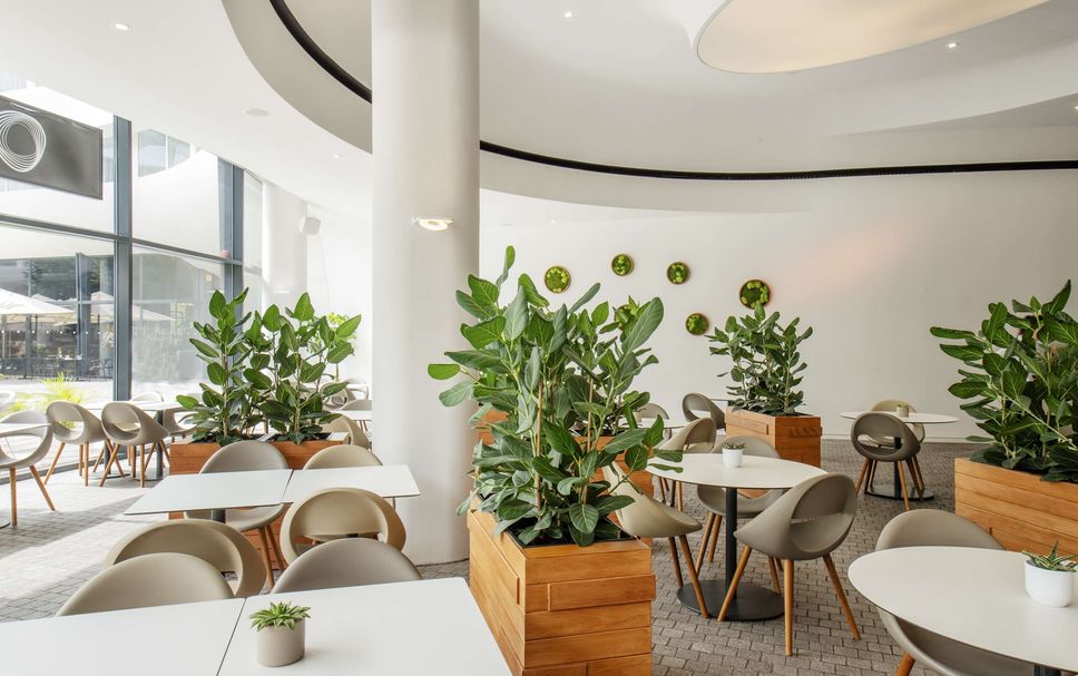 Restaurang Foto