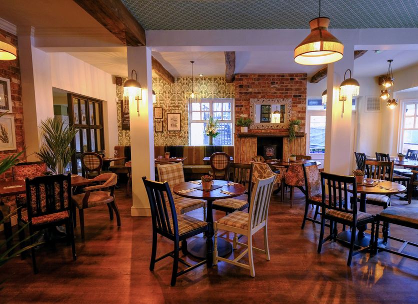 Restaurang Foto