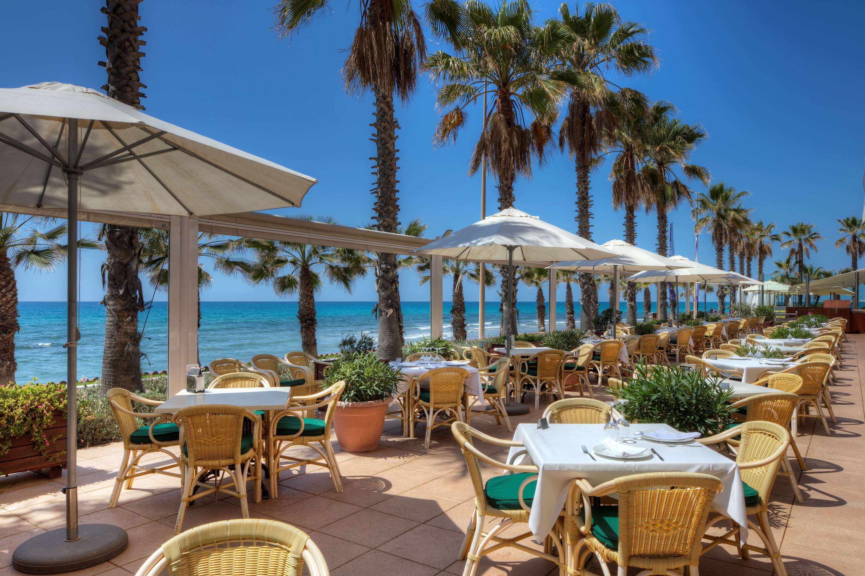 Restaurang Foto