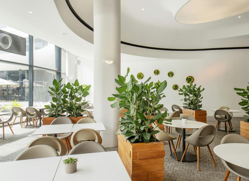 Restaurang Foto