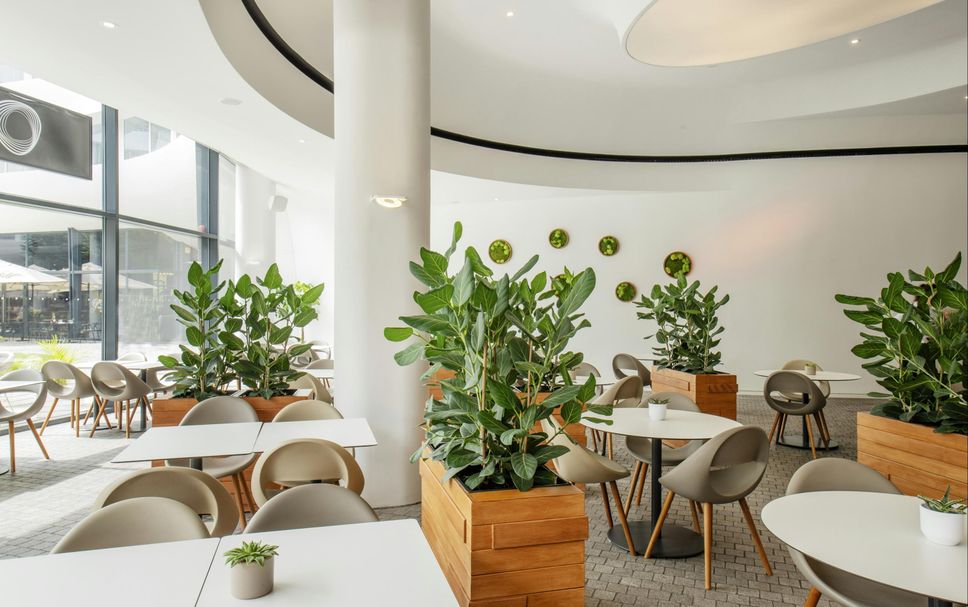 Restaurang Foto