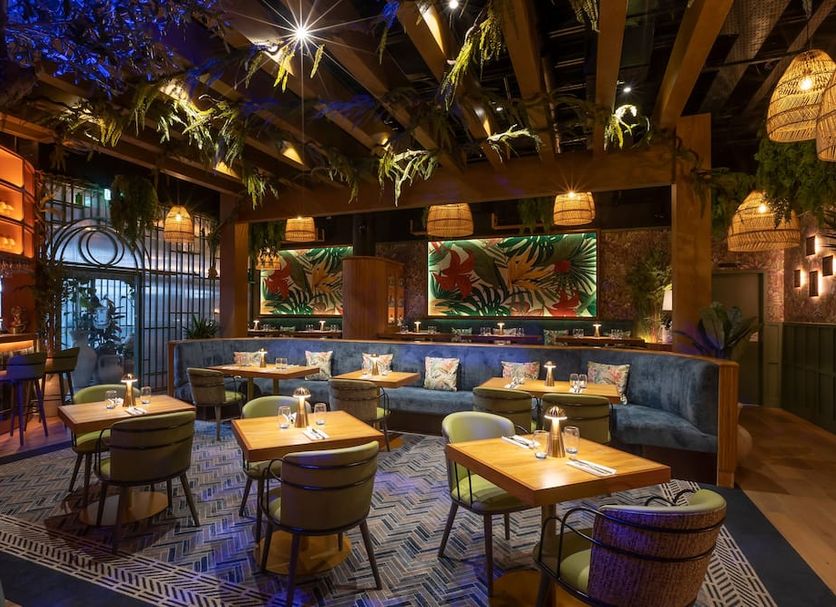 Restaurang Foto