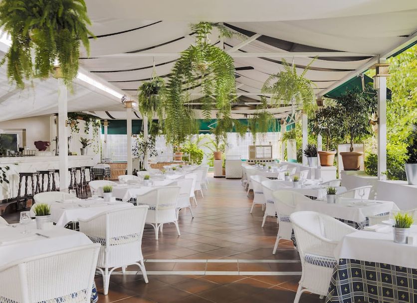 Restaurang Foto
