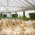 Bankettsal