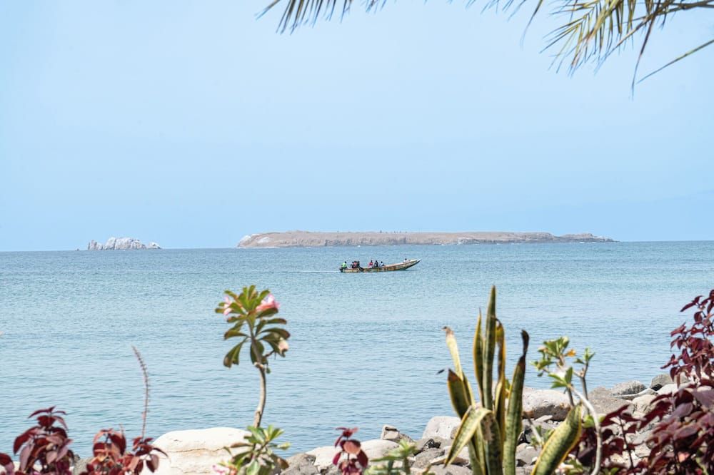 Övrigt