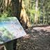Övrigt