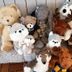 Övrigt