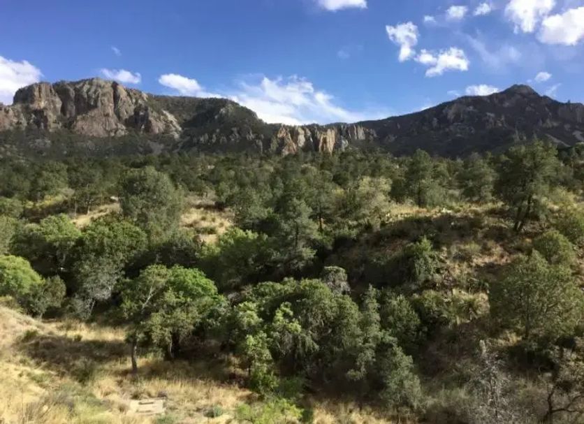 Utomhus Foto