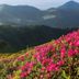 Utomhus