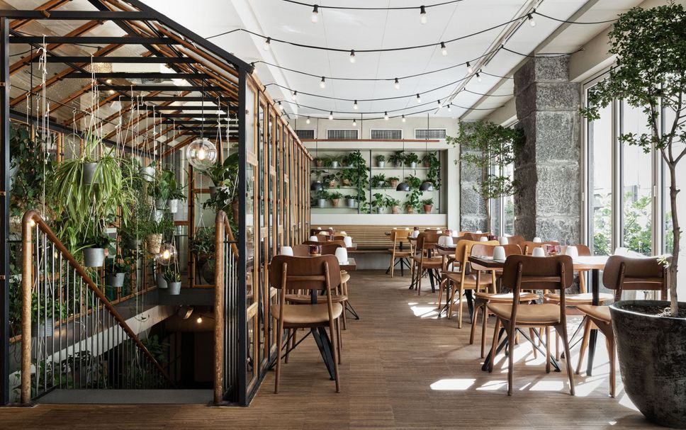 Restaurang Foto