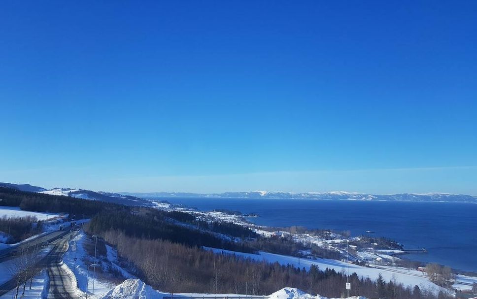 Utomhus Foto