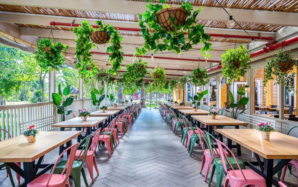 Restaurang Foto