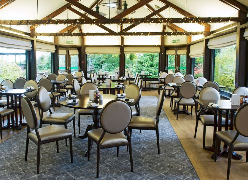 Restaurang Foto