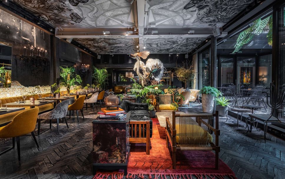 Restaurang Foto
