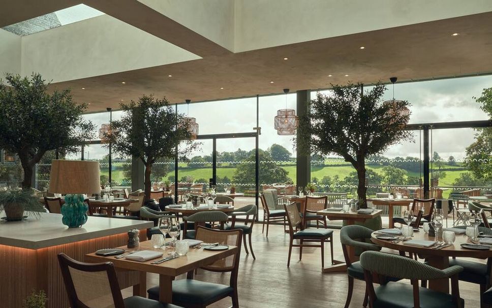 Restaurang Foto