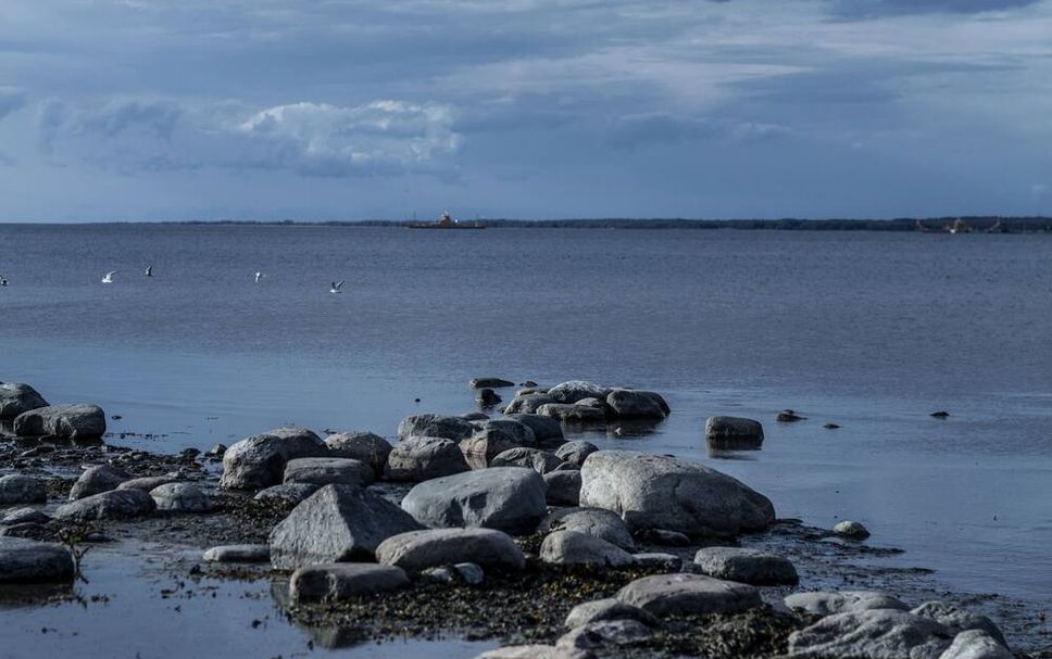 Övrigt Foto