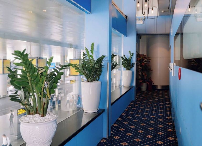 Hall Foto