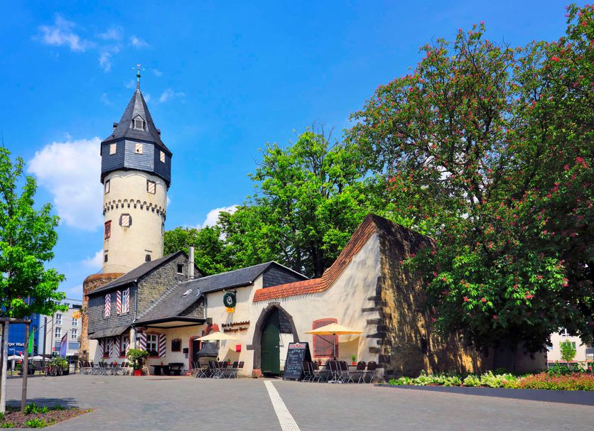 Restaurang Foto
