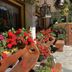 Utomhus