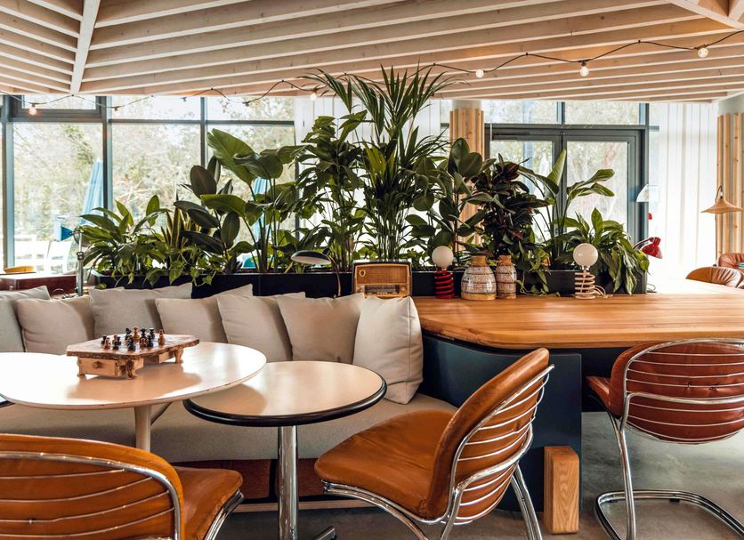 Restaurang Foto