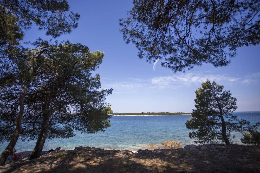 Utomhus Foto