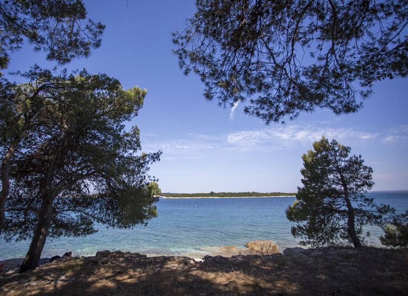Utomhus Foto