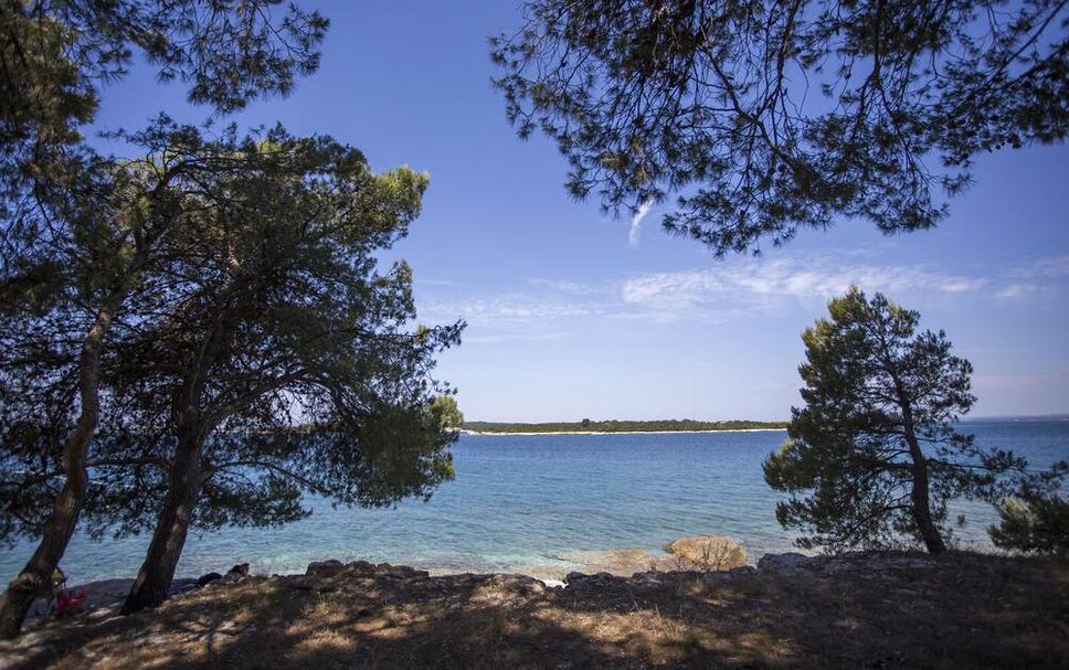 Utomhus Foto
