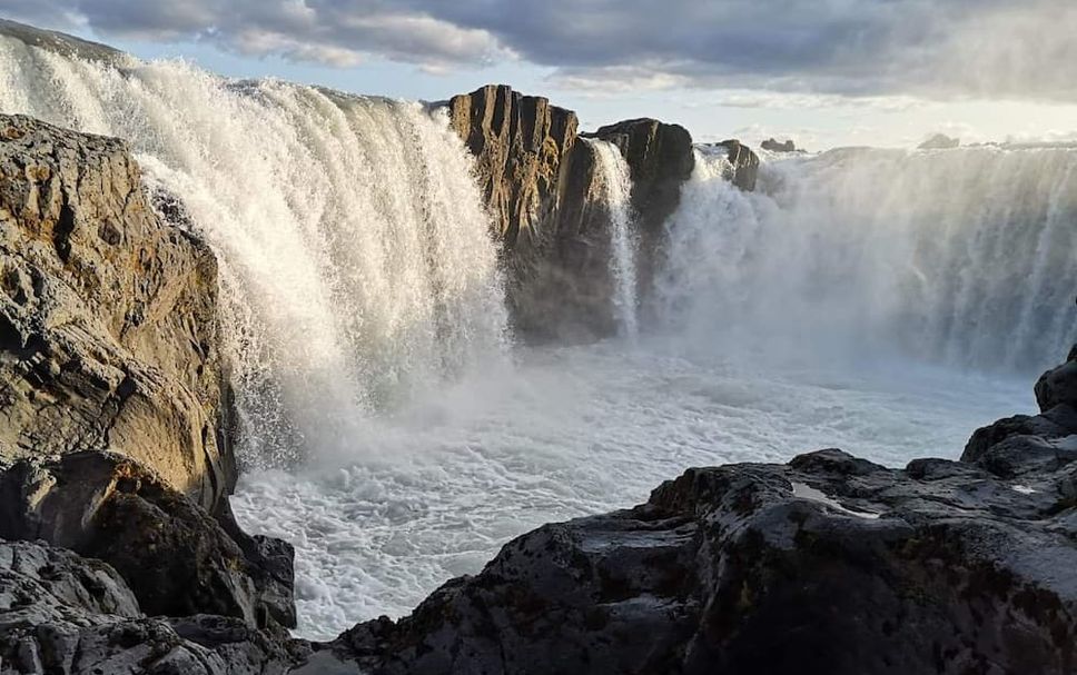 Övrigt Foto