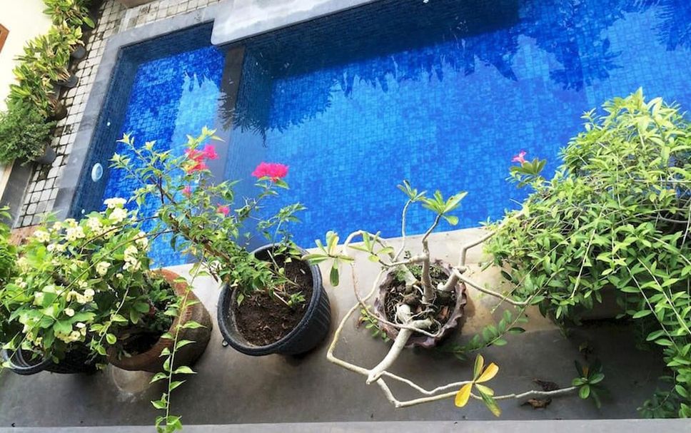 Pool Foto