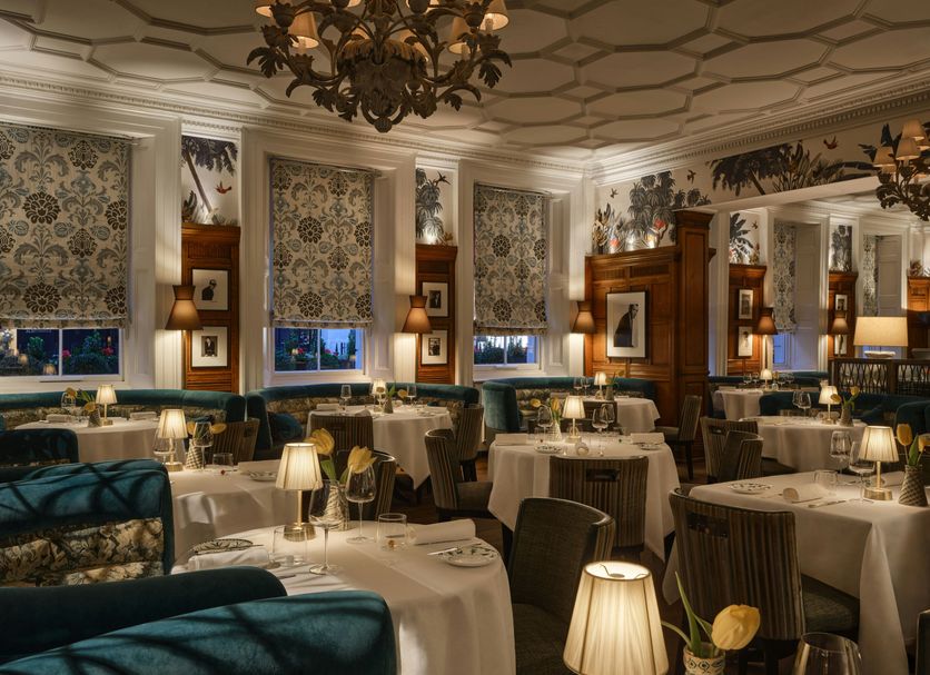 Restaurang Foto