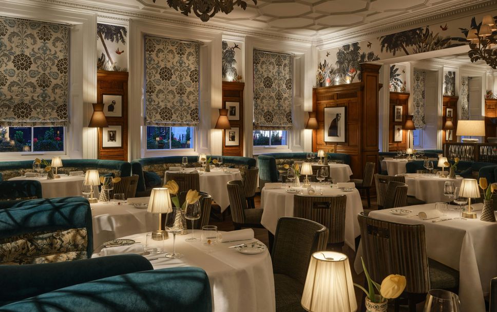 Restaurang Foto
