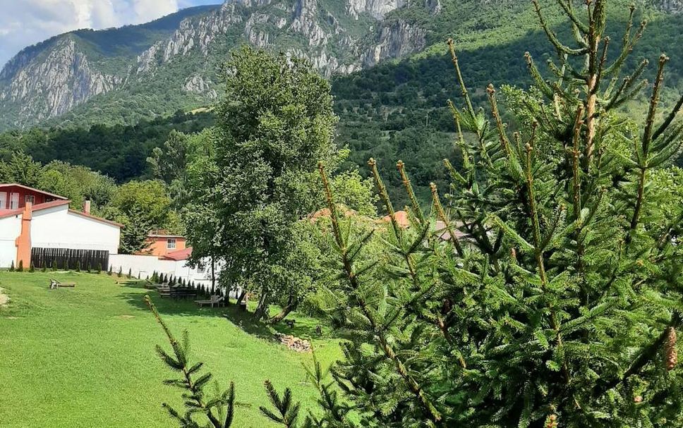 Utomhus Foto