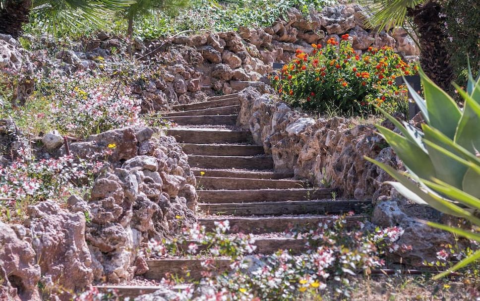 Utomhus Foto