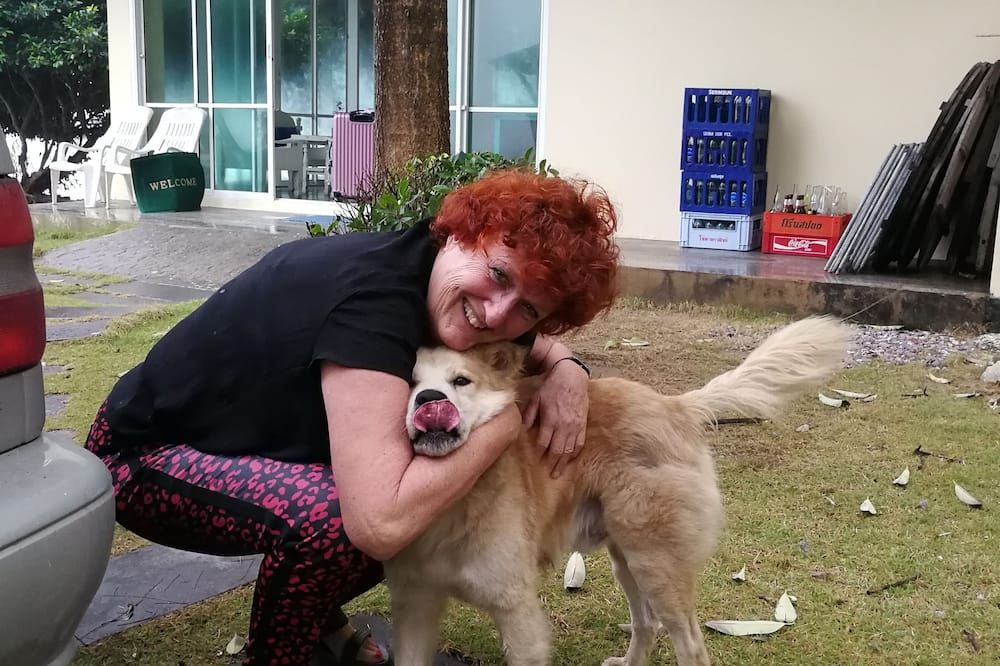Övrigt