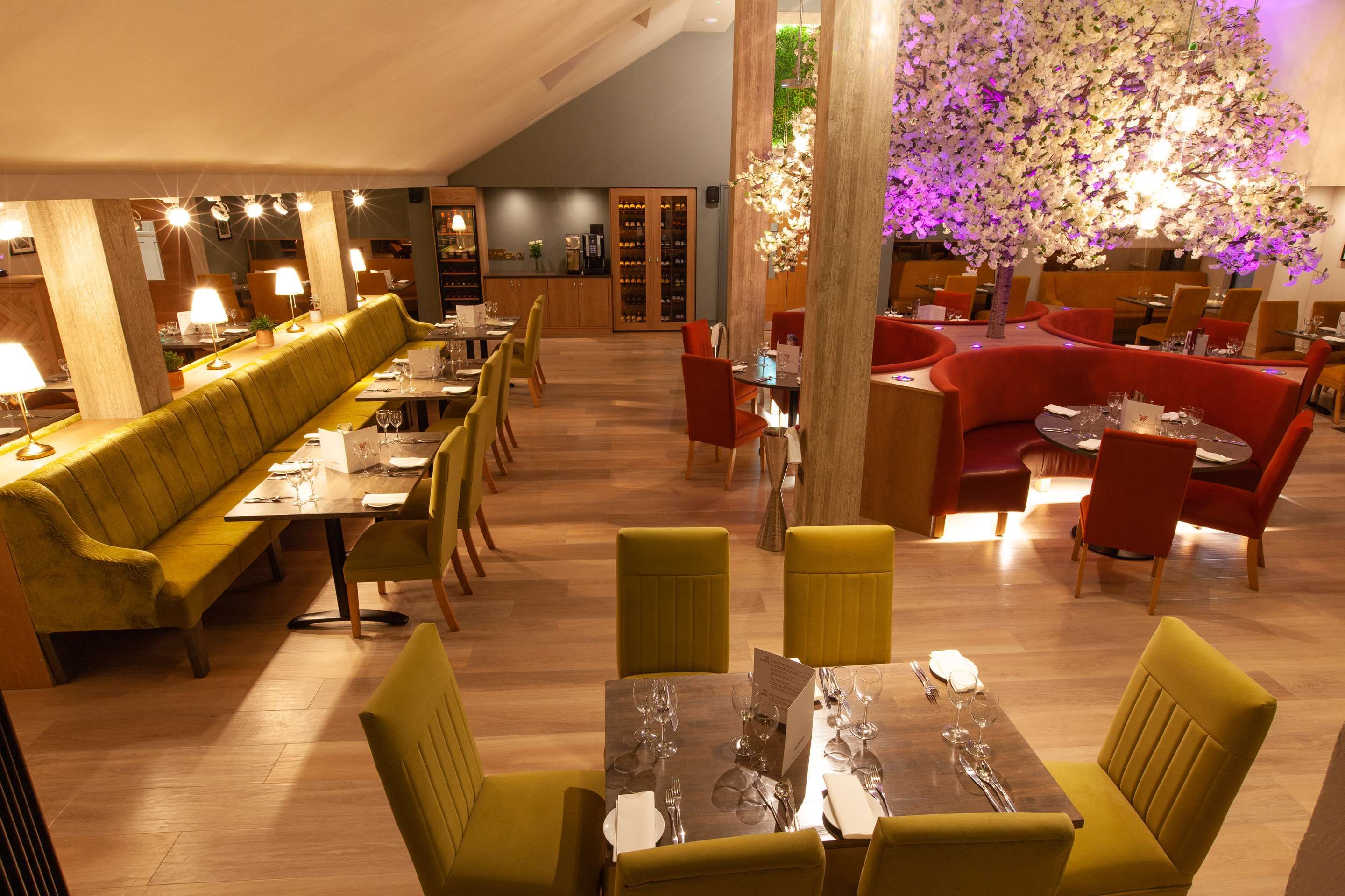Restaurang Foto