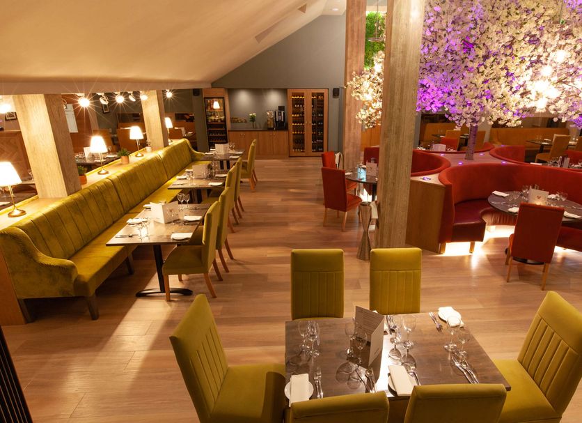 Restaurang Foto