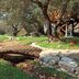 Utomhus