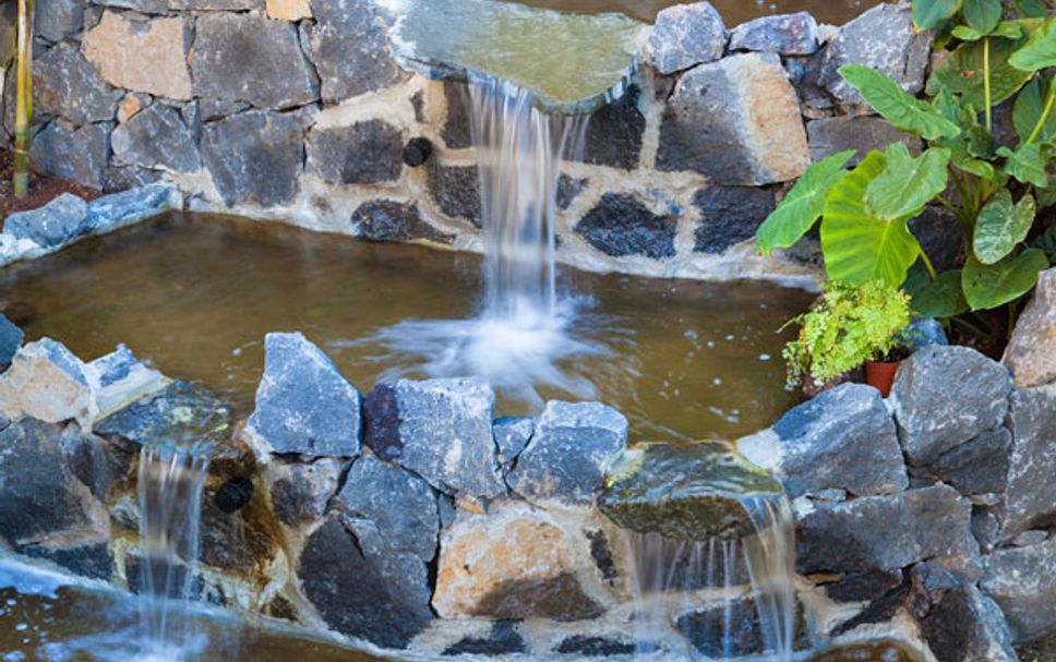 Hotellfaciliteter Foto