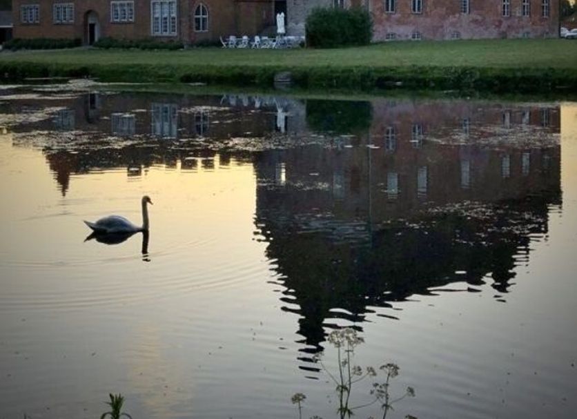 Byggnad Foto