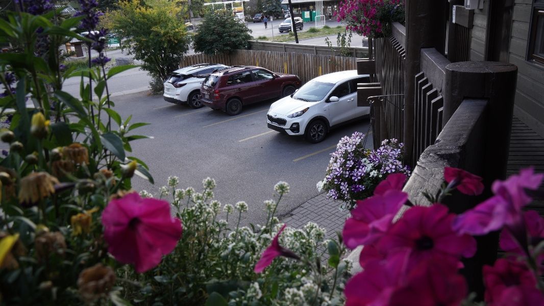 Parkering